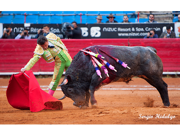 Sotelo, con el mejor toro