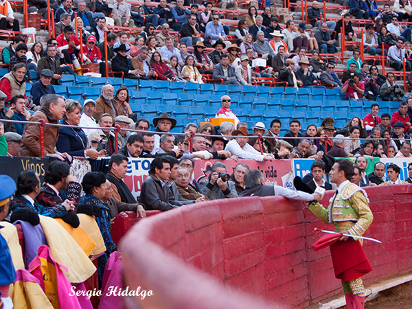 Brindis a sus padres