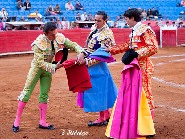 Sotelo confirma alternativa