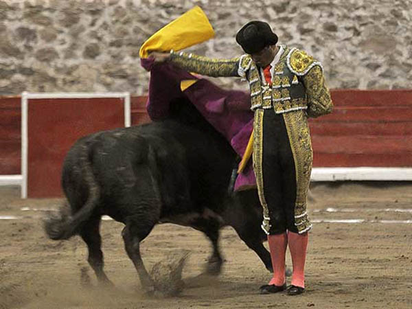 Evocando al maestro de Saltillo