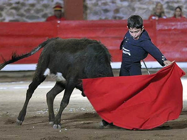 Sentimiento de El Maletilla