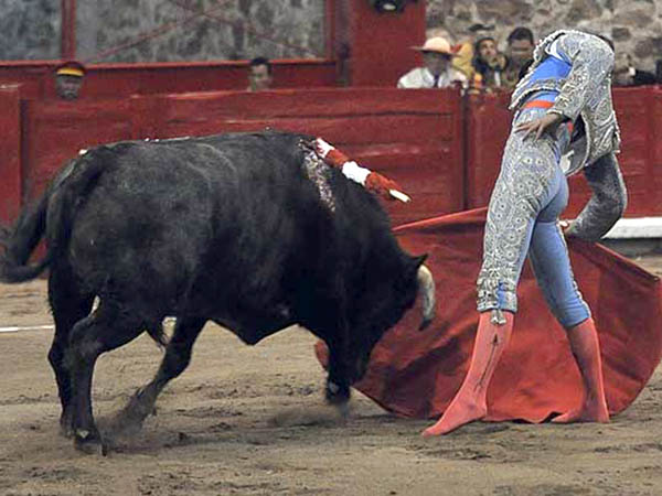 El brazo arqueado de los Snchez