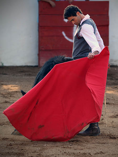 Suavidad de terciopelo