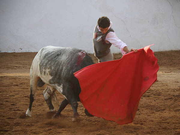 Consintiendo al ejemplar