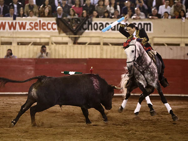 Mnica, una oreja en el de regalo