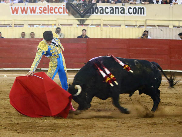 Por la diestra en los medios