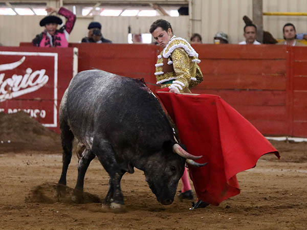 Codicia del ejemplar