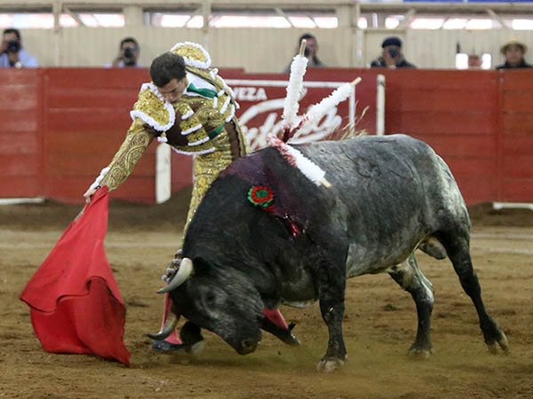 Calidad en la embestida