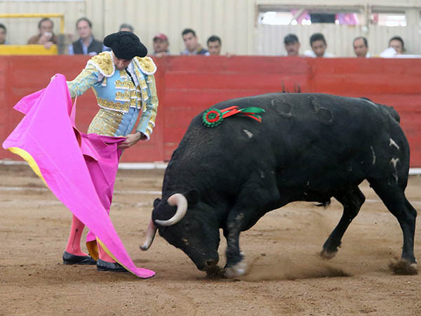 El capote de Enrique Ponce