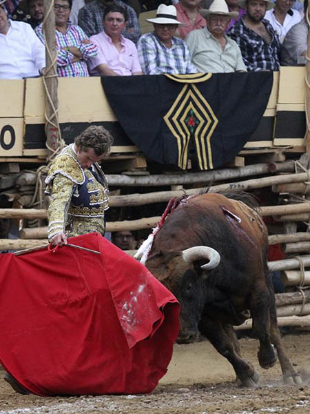 La fijeza del casta�o