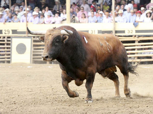 La percha del tercero de la tarde