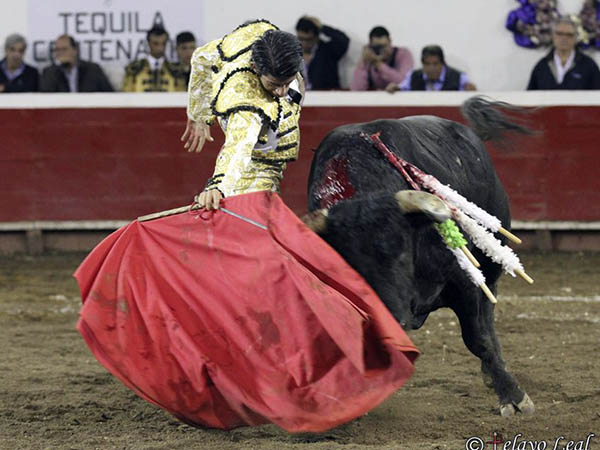 Empaque y reciedumbre