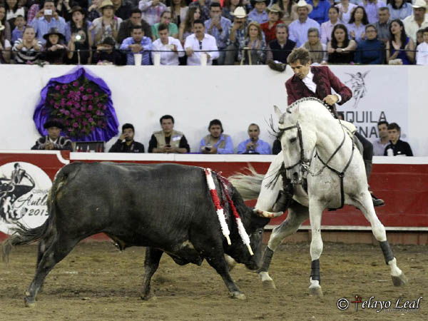 Templando las embestidas