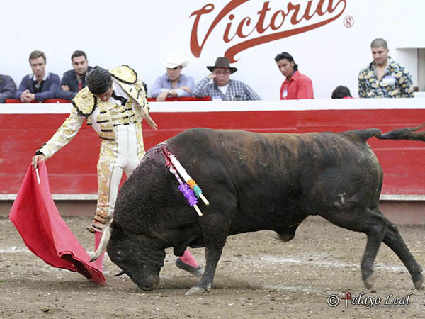 T�cnica y expresi�n art�stica