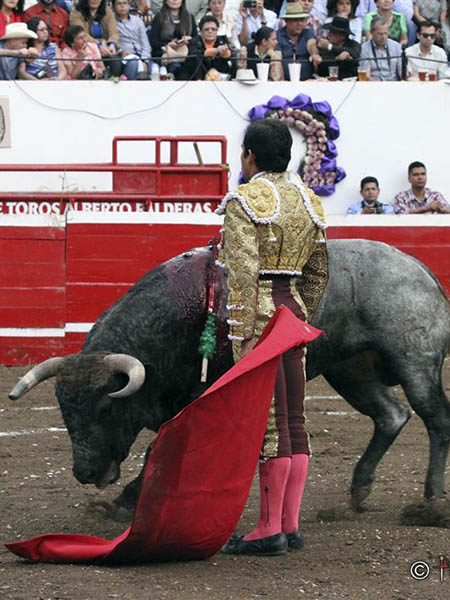 Desd�n al c�rdeno