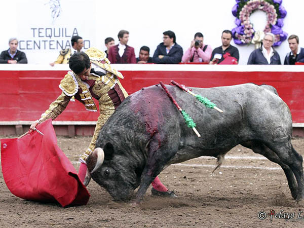 Se esforz� de nuevo con su segundo