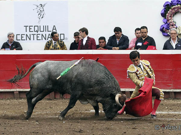 Una faena din�mica