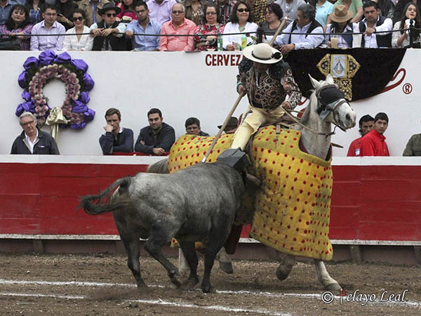 Prendido del morrillo