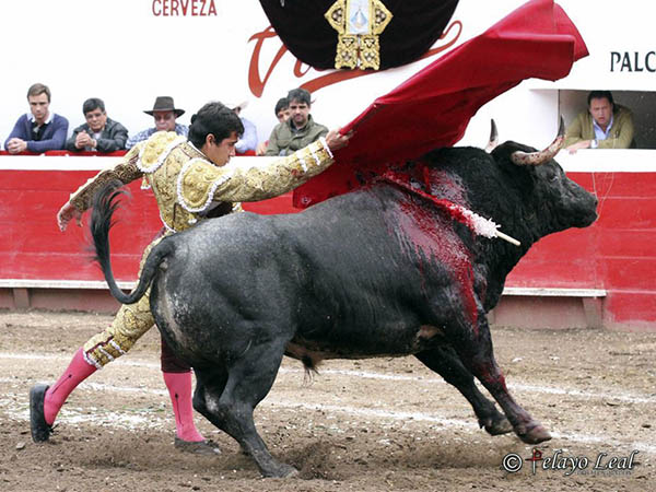 Ese toreo asentado y largo