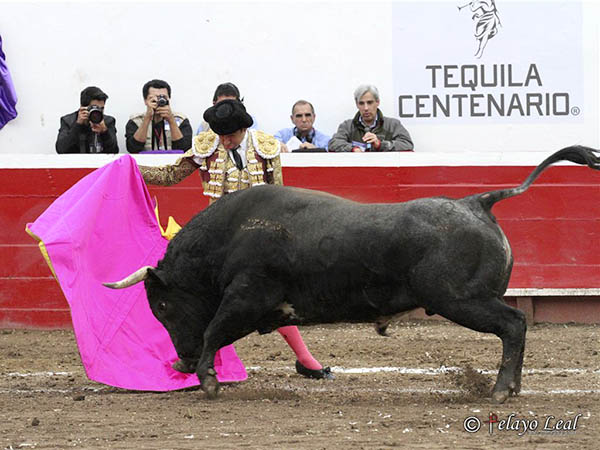 El trap�o de Rosas Viejas