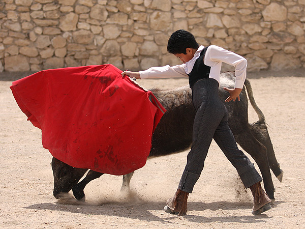 Expresi�n en el pase de pecho