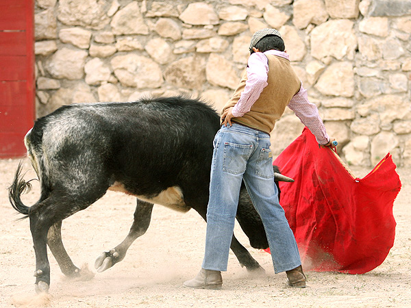 David Montoya, asentado