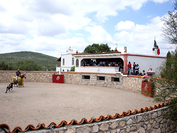 El campo bravo zacatecano