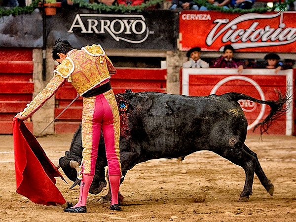 Destellos de calidad