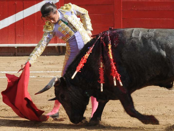 Tuvo calidad su labor