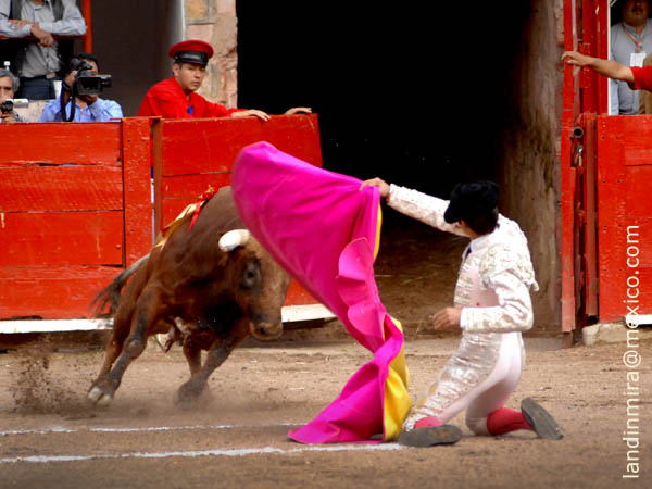 Larga frente al toril