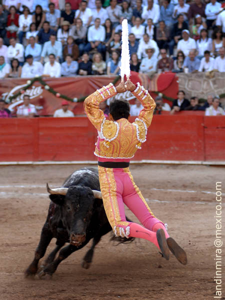 Lucido en banderillas