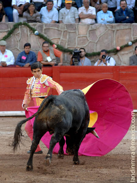 Zapopinas en el quite