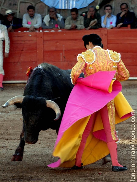 Ce�idas chicuelinas