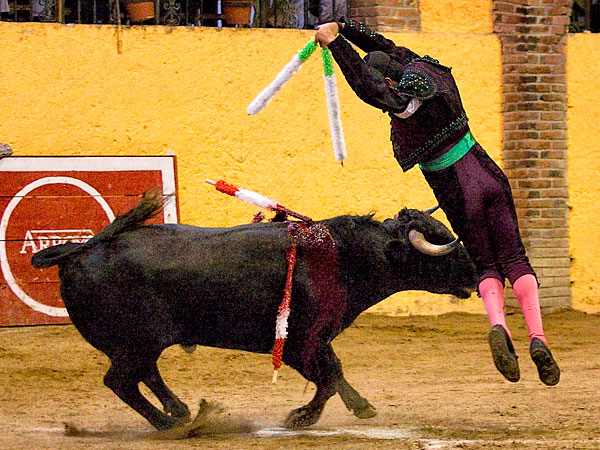 Girando en la cara del novillo