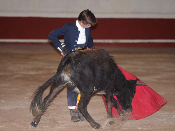 Naturalidad y buen gusto