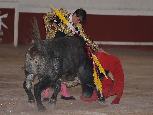 Sometiendo la embestida