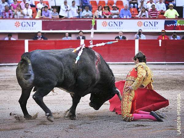 Deseos de triunfo grande