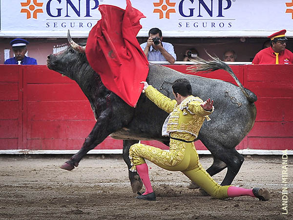 Remate rodilla en tierra