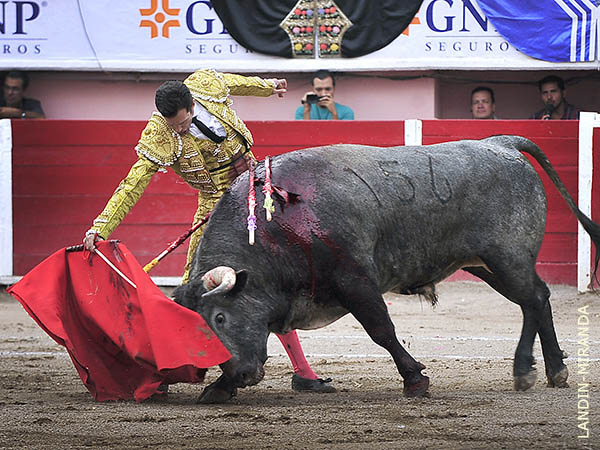 Determinaci�n y mando