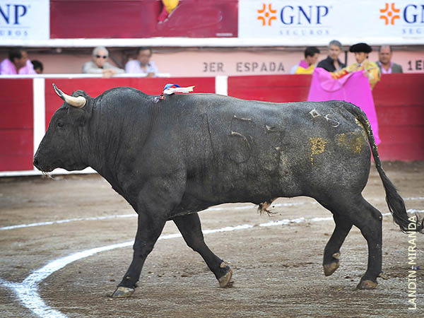 L�mina del segundo de la tarde