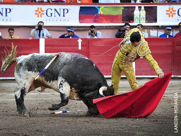 Metido en la canasta