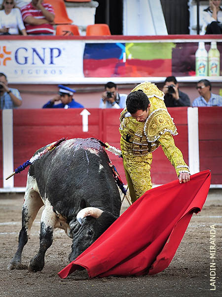 Natural a pies juntos