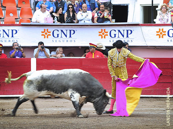 Alejandro Amaya, primer espada