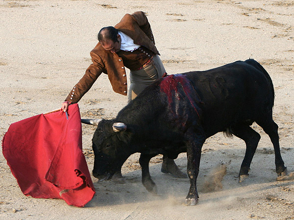 Buen momento de El Mingo