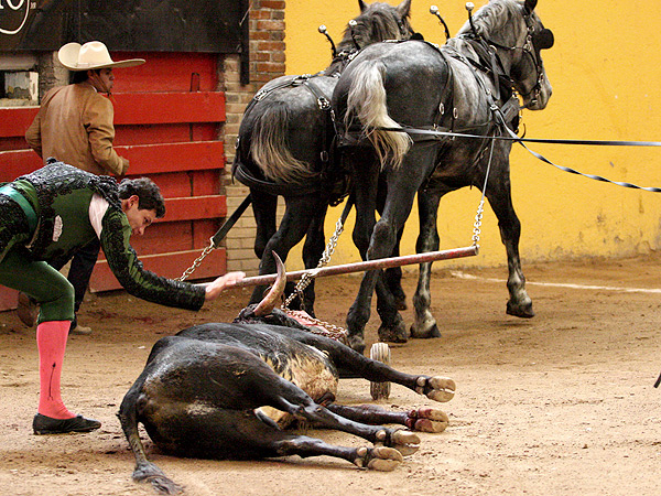 Una palmada a la bravura