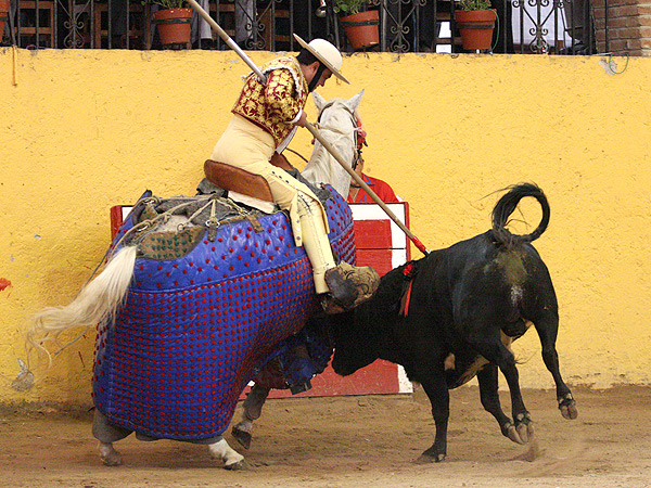 Metiendo los ri�oes