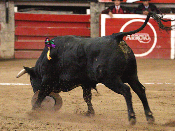 Y se arranc� como un tren...