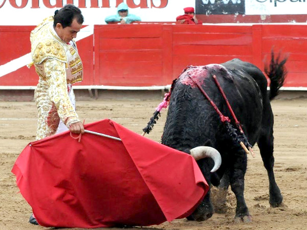 El Palentino, en dura prueba