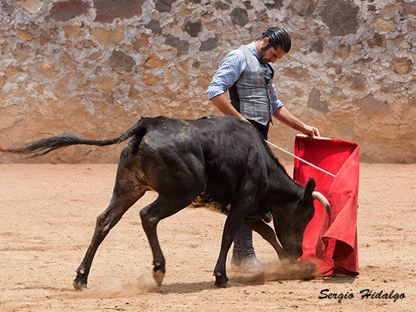 Aprovechando al m�ximo