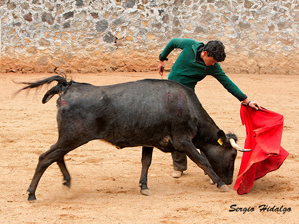 Extendiendo el trazo